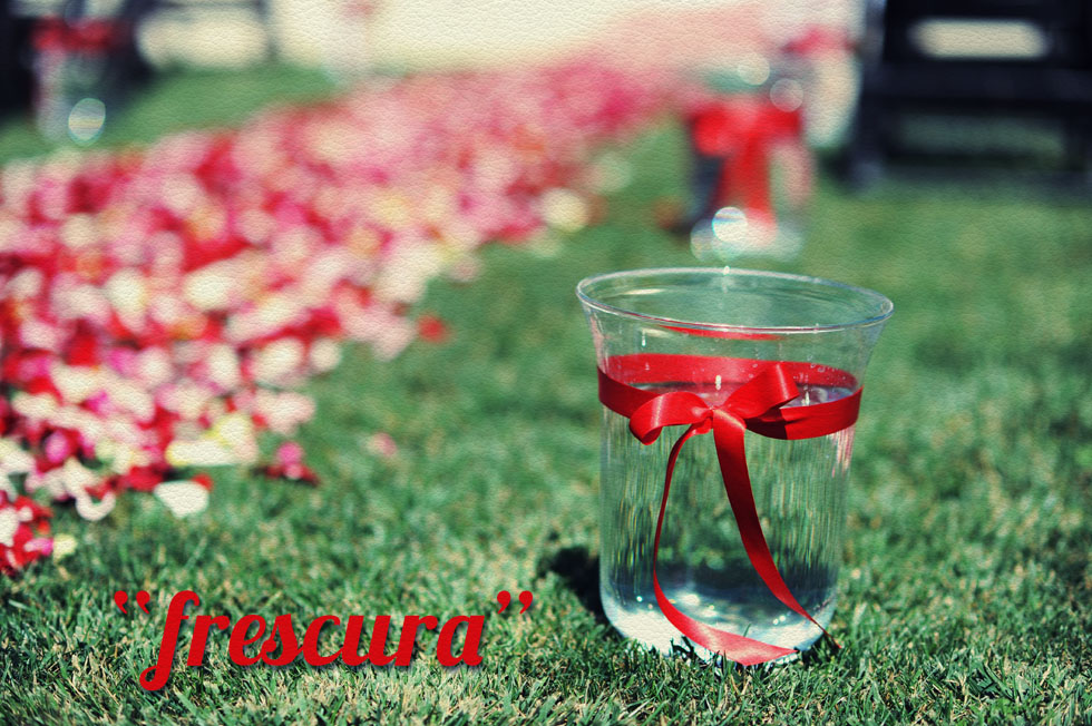 Serviços de Casamento